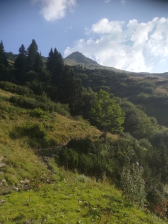 Weiter über den Forstweg Richtung Sulzkaralm