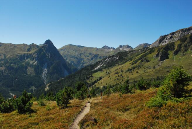 Steig Richtung Jakoberalm