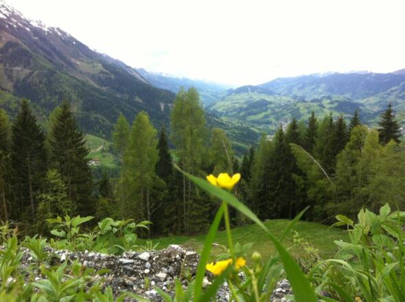 Frühlingsgefühle auf dem Weg zur Kreistenalm