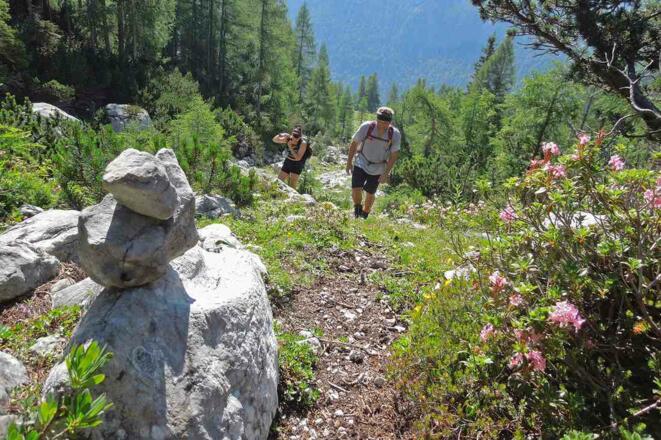 Am Steig oberhalb der Nickeralm