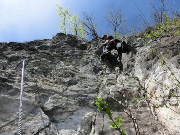 Am Francesco Tarmannsteig