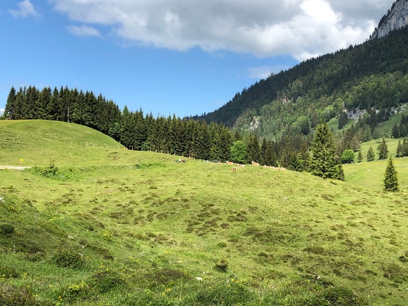 Wunderschöne Landschaft