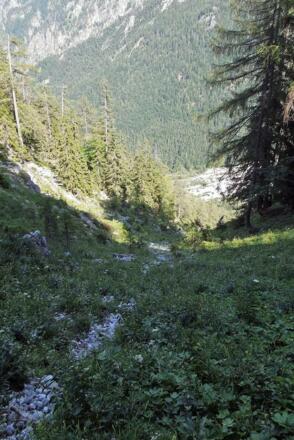 Die steile Abstiegsrinne in Richtung Poppenalm