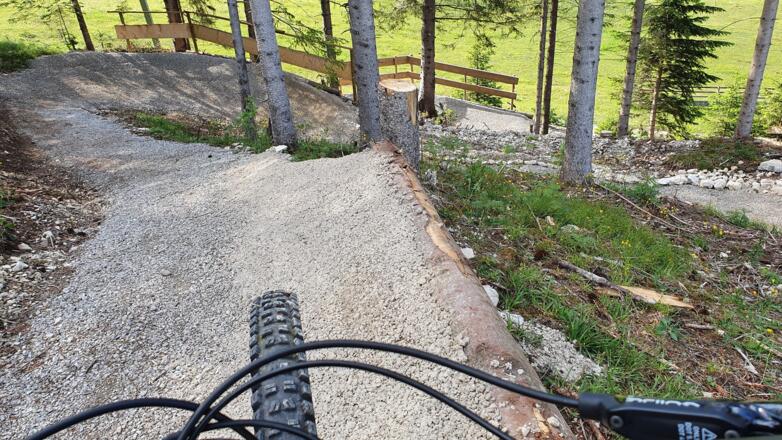 Mühlwaldtrails