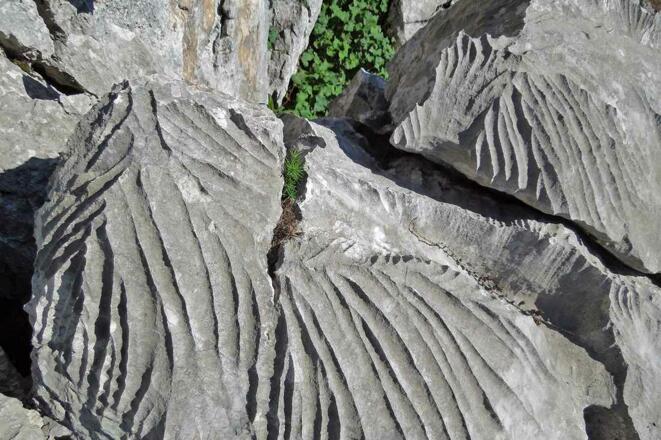 Typische Karstformen oberhalb der Nickeralm