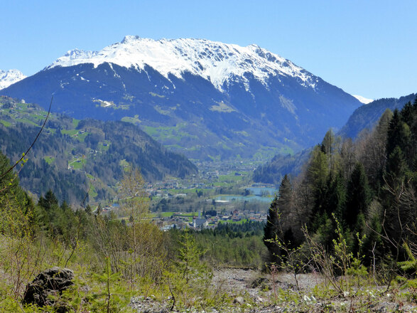 auf den Wanderweg zurück hinunter