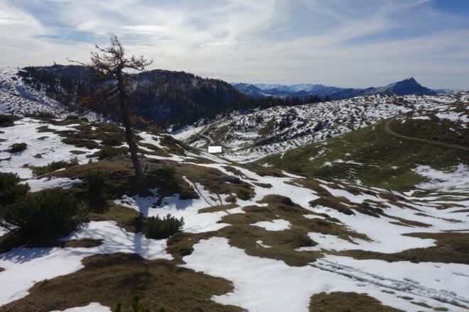 Abstieg Richtung Gerstbergalm