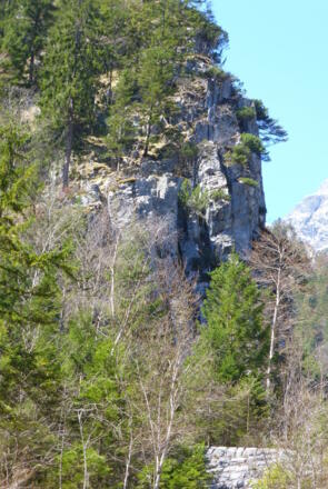 von unten Blick zur Ruine hinauf