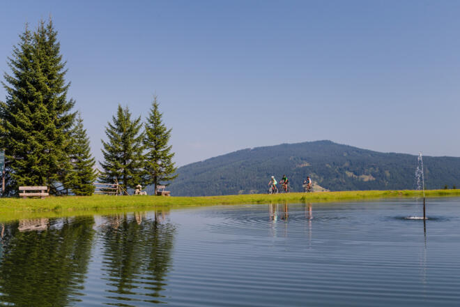 Steinwand Runde