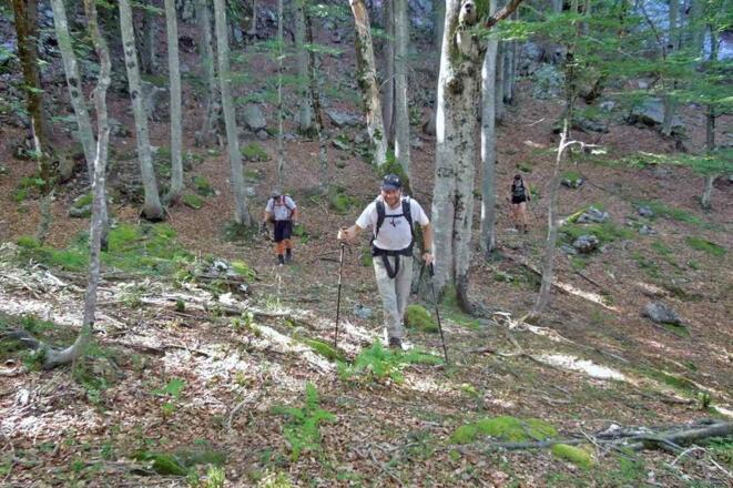 Am Ende des Abstieges kurz vor der Poppenalm
