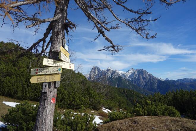 Gabelung kurz vor der Alm