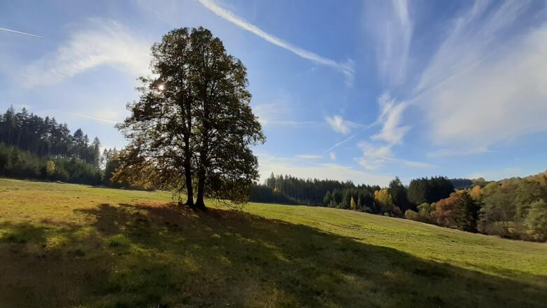 Wiesenquerung