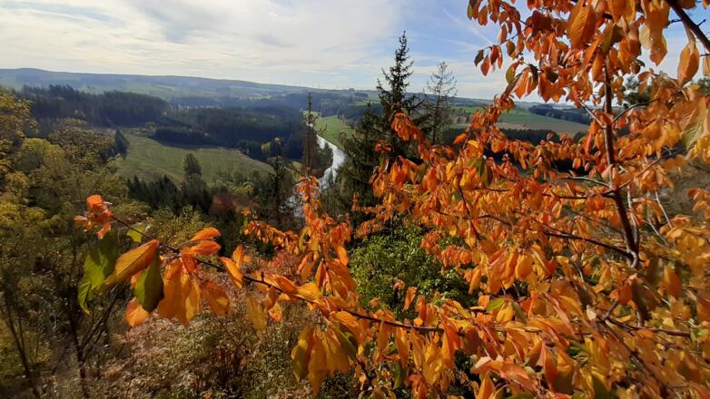 Blick vom Petersgrat im Herbst