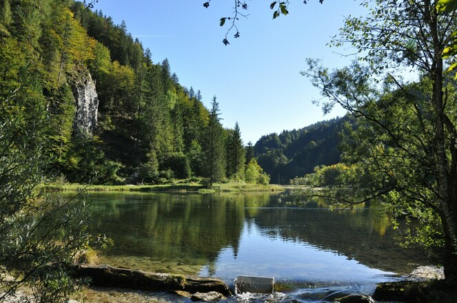 Wiesensee Hochfilzen am Rundweg Buchensteinwand