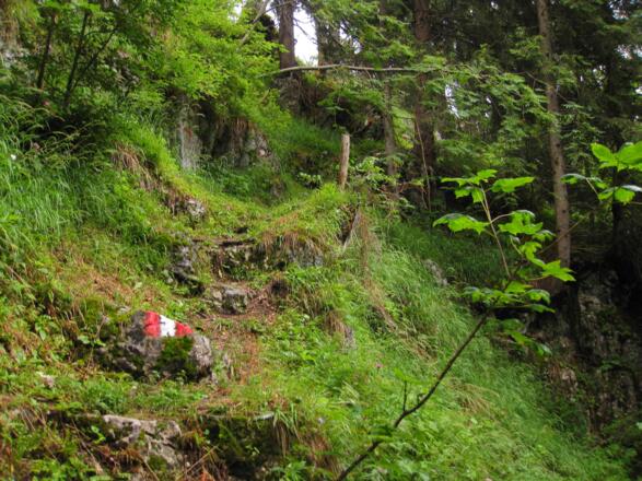Unterwegs am St. Jakober Höhenweg 2