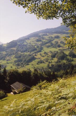 Wandergebiet Bartholomäberg