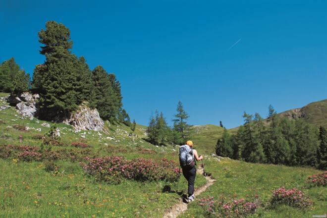 Am Weg zum Friesenhals