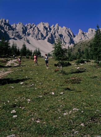 Kerschbaumeralm-Schutzhütte