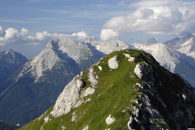 Weg zum Seefelder Joch