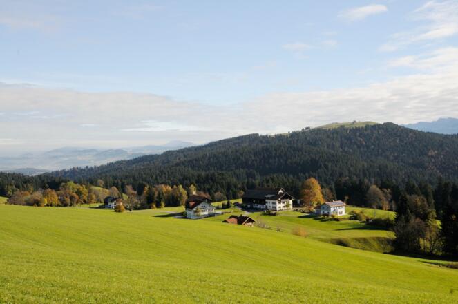 Wiesen und Höfe bzw. kleine Siedlungen prägen weite Teile der Wanderung am Pfänderrücken.