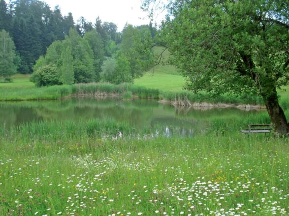 Dörnlesee am Dorfrand