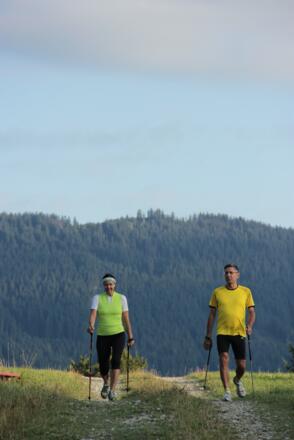 Nordic Walking im Tannheimer Tal 
