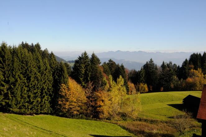 Herbststimmung am Pfänder – im Hintergrund Gipfel im Bregenzerwald.