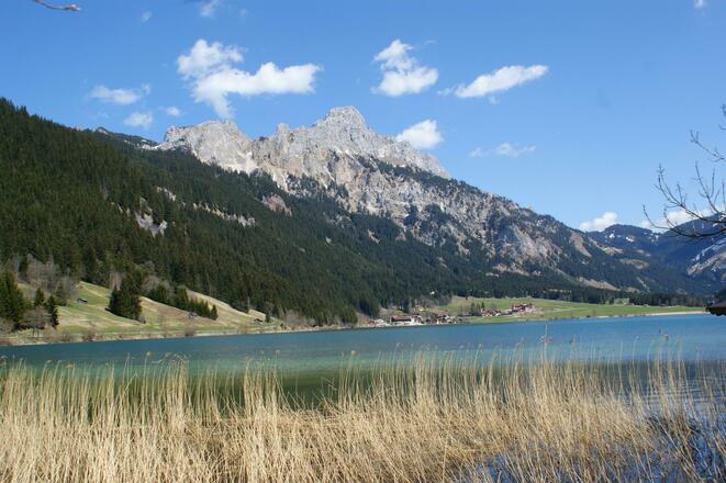 Blick auf den Haldensee vom Rundweg