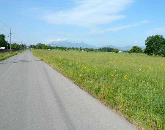 Der Radweg entlang der Bahnschienen