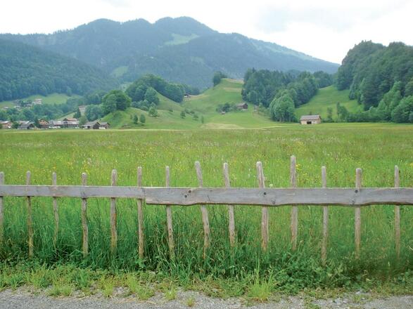 Bizau zwischen Dorf und Moos
