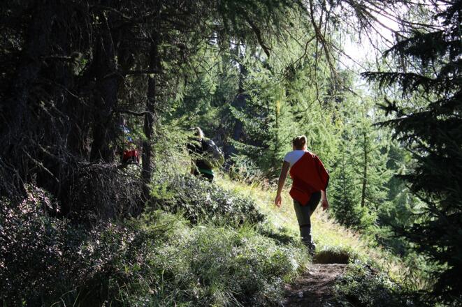 Aufstieg durch den Wald über Gripp zum Golzentipp