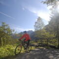 MTB Gastein
