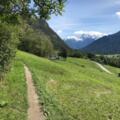 Vom Trail Blick zum Acherkogel