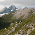 Von der Glorer Hütte zum Peischlachtörl: Blick zurück auf den Großglockner