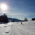 Langlaufloipe Alberschwende