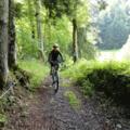 Mountainbiker im Mellental