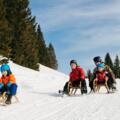 Rodeln im Bregenzerwald