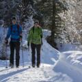 Winterwandern in Niederthai 