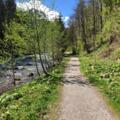 Wanderweg an der Breitach