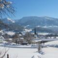 Lingenau im Winter
