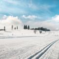 Loipe und Winterwanderweg Sulzberg