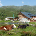Lizumer Hütte, 2019m, Foto: Gerald Aichner