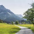 Scheffau_Sommer_Wilder Kaiser