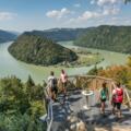 Donausteig - Schlögener Donauschlinge - Schlögener Blick