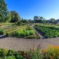 Klostergarten Gemüsesonne