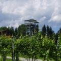 360° Panoramaturm Weingut Garber