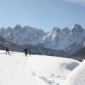 Langlaufen in Gosau