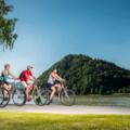 Donauradweg - Schlögener Schlinge