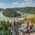 Donausteig - Schlögener Donauschlinge - Schlögener Blick