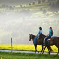 Reiten in Oberoesterreich